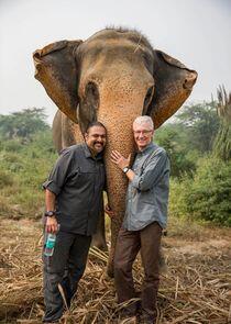 Paul O'Grady: For the Love of Animals - India Paul O'Grady: For the Love of Animals - India