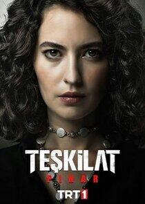 Pınar Pınar