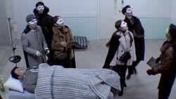 The 5 Flower Killers The 5 Flower Killers