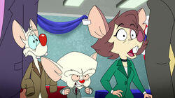 WhoDonut/Mousechurian Candidate/Starbox and Cindy WhoDonut/Mousechurian Candidate/Starbox and Cindy