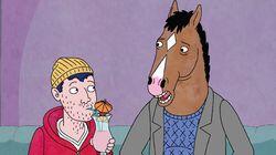 Horse Majeure Horse Majeure