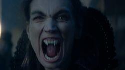 The Enemy of My Enemy The Enemy of My Enemy