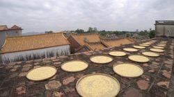 Puning Bean Paste Puning Bean Paste