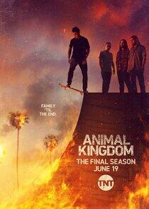 Animal Kingdom - Season 6 Animal Kingdom - Season 6