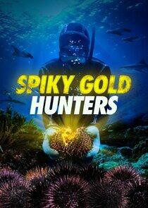 Spiky Gold Hunters Spiky Gold Hunters