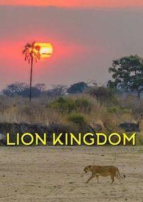 Lion Kingdom Lion Kingdom
