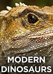 Modern Dinosaurs Modern Dinosaurs