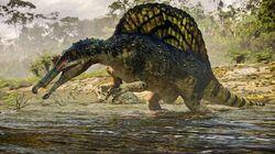 Lost World Lost World