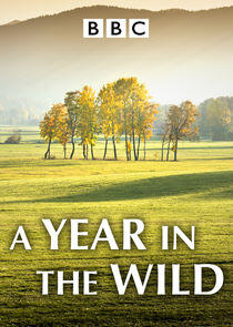 A Year in the Wild A Year in the Wild