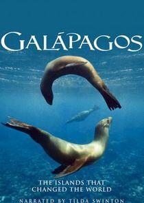 Galapagos Galapagos
