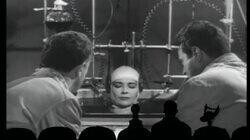 The Brain That Wouldn't Die The Brain That Wouldn't Die