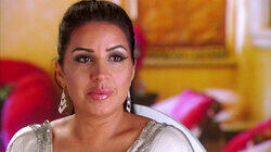 The Persian Nose Business The Persian Nose Business