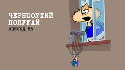 86. Чернооухий попугай 86. Чернооухий попугай