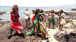 Coconut Bras and Brawls Coconut Bras and Brawls