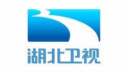 logo of Hubei TV logo of Hubei TV