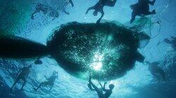 Oceans - Into the Blue Oceans - Into the Blue