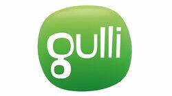 logo of Gulli logo of Gulli