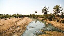 Iran and the Water Crisis