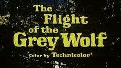 The Flight of the Grey Wolf (1) The Flight of the Grey Wolf (1)