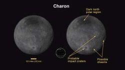 The Shoals of Pluto The Shoals of Pluto