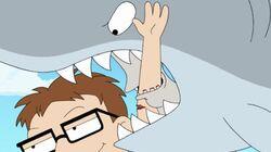 Shark?! Shark?!