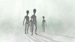 Alien Watchers Alien Watchers