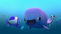 Whale Tale Whale Tale