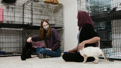 Cat People Cat People