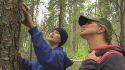 Mother vs. Nature Mother vs. Nature