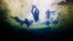Free Diving Free Diving