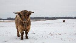 Walking in a Winter Pol-ar Land Walking in a Winter Pol-ar Land
