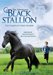 The Adventures of the Black Stallion - Season 1 The Adventures of the Black Stallion - Season 1