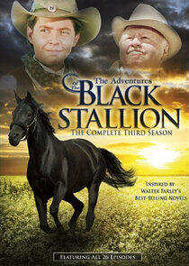 The Adventures of the Black Stallion - Season 3 The Adventures of the Black Stallion - Season 3