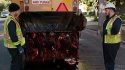 The Senator in the Street Sweeper The Senator in the Street Sweeper