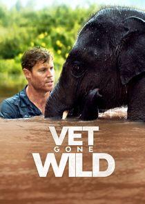 Vet Gone Wild Vet Gone Wild