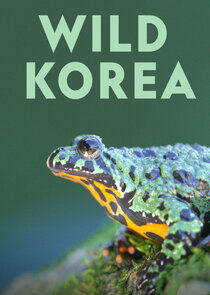 Wild Korea Wild Korea