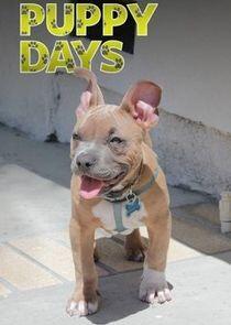Puppy Days Puppy Days