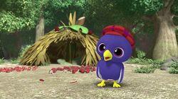 Bowerbird's Bower Party Bowerbird's Bower Party