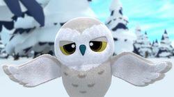 Snowy Owl Needs Some Sleep! Snowy Owl Needs Some Sleep!