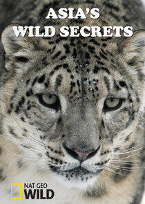 Asia's Wild Secrets Asia's Wild Secrets