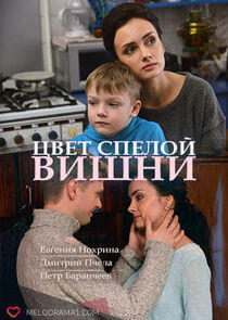 Цвет спелой вишни Цвет спелой вишни