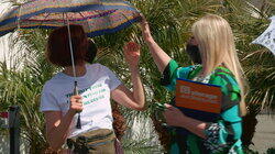 Parasol Pals Parasol Pals