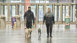 Crufts Crufts