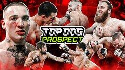 PROSPECT 2 PROSPECT 2
