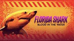 Florida Shark: Blood in the Water Florida Shark: Blood in the Water