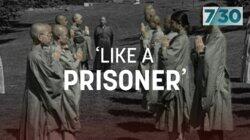 Like a Prisoner Like a Prisoner