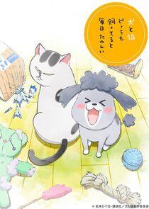 Inu to Neko Docchi mo Katteru to Mainichi Tanoshii Inu to Neko Docchi mo Katteru to Mainichi Tanoshii