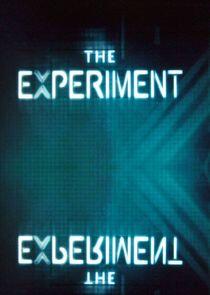The Experiment The Experiment