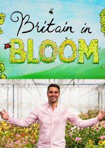 Britain in Bloom Britain in Bloom