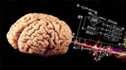 Can We Build a Brain? Can We Build a Brain?